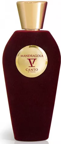 V Canto — V Canto Mandragola