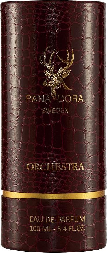 Pana Dora Orchestra — фото 4
