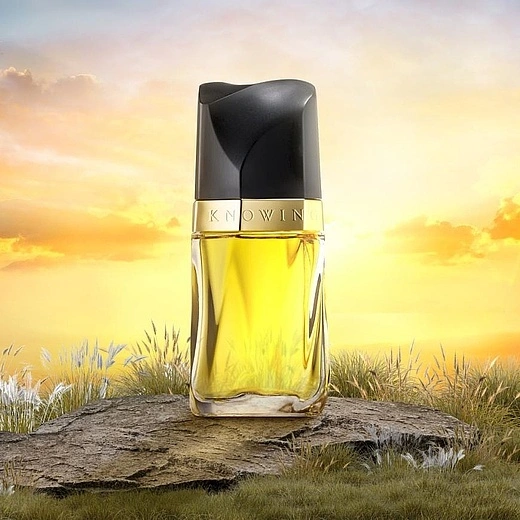 Estee Lauder — Estee Lauder Knowing