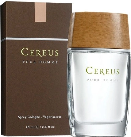 Cereus No.4 — фото 2