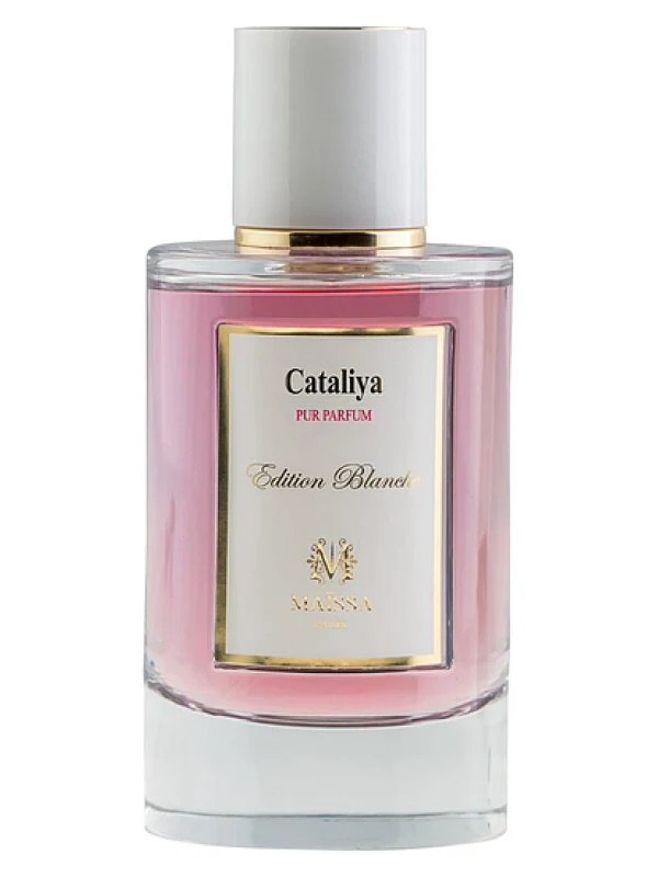Maissa — Maissa Cataliya