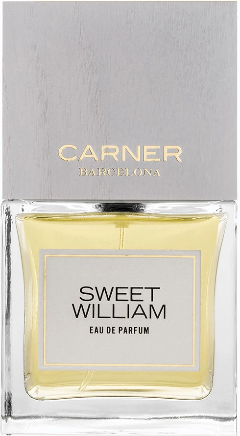 Carner Barcelona Sweet William — фото 3