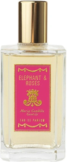 Maria Candida Gentile — Maria Candida Gentile Elephant & Roses
