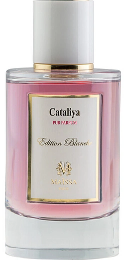 Maissa — Maissa Cataliya