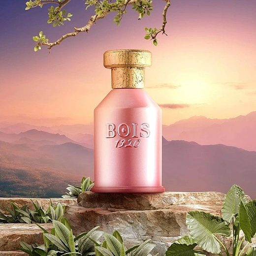 Bois 1920 — Bois 1920 Notturno Fiorentino