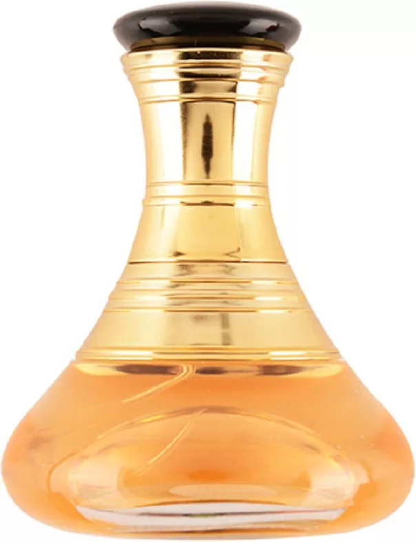 Shakira Elixir — фото 3