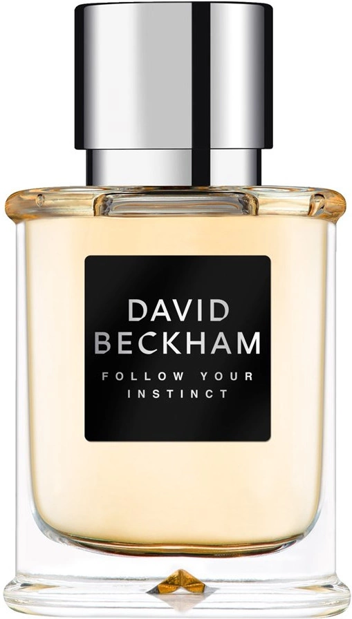 David Beckham Follow Your Instinct — фото 3