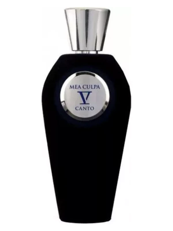 V Canto — V Canto Mea Culpa
