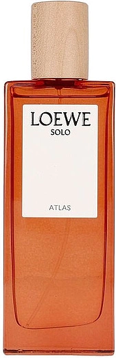 Loewe — Loewe Solo Atlas