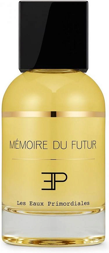 Les Eaux Primordiales Memoire Du Futur — фото 2