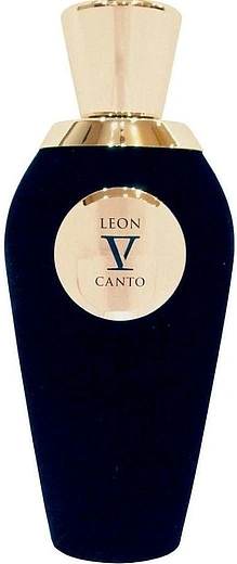 V Canto — V Canto Leon