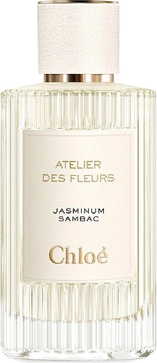 Chloe — Chloe Jasminum Sambac