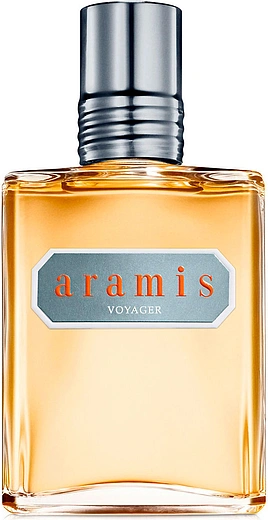 Aramis — Aramis Voyager