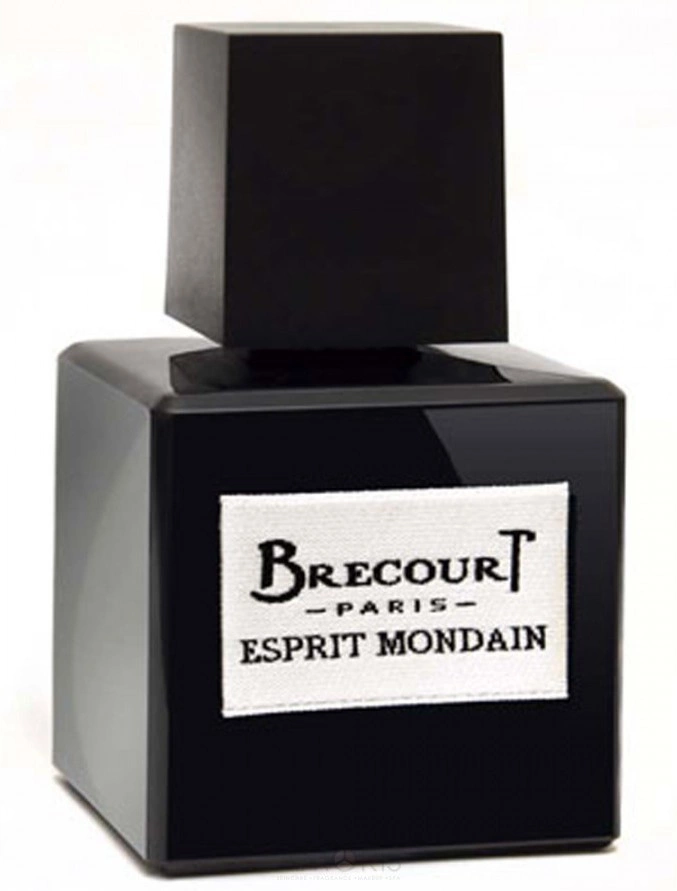 Brecourt Esprit Mondain — фото 4