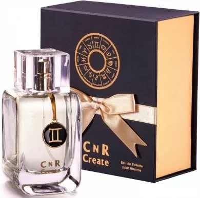 CnR Create Gemini for Men — фото 2