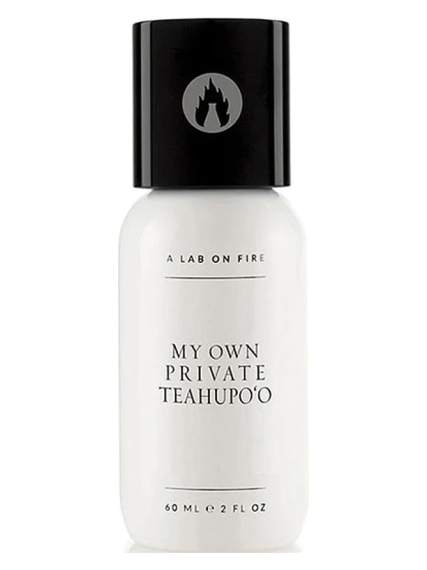 A Lab On Fire — A Lab On Fire My Own Private Teahupo'o