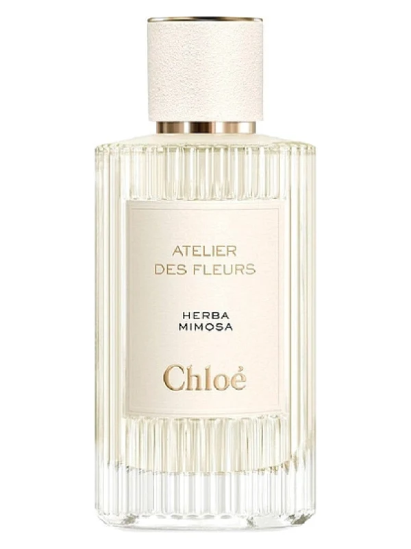 Chloe — Chloe Herba Mimosa