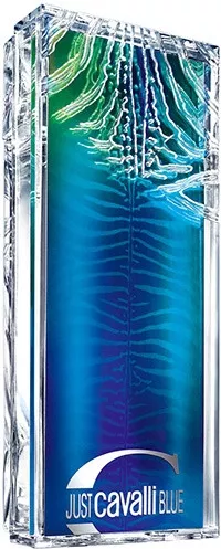 Roberto Cavalli Just Cavalli Blue Him — фото 2