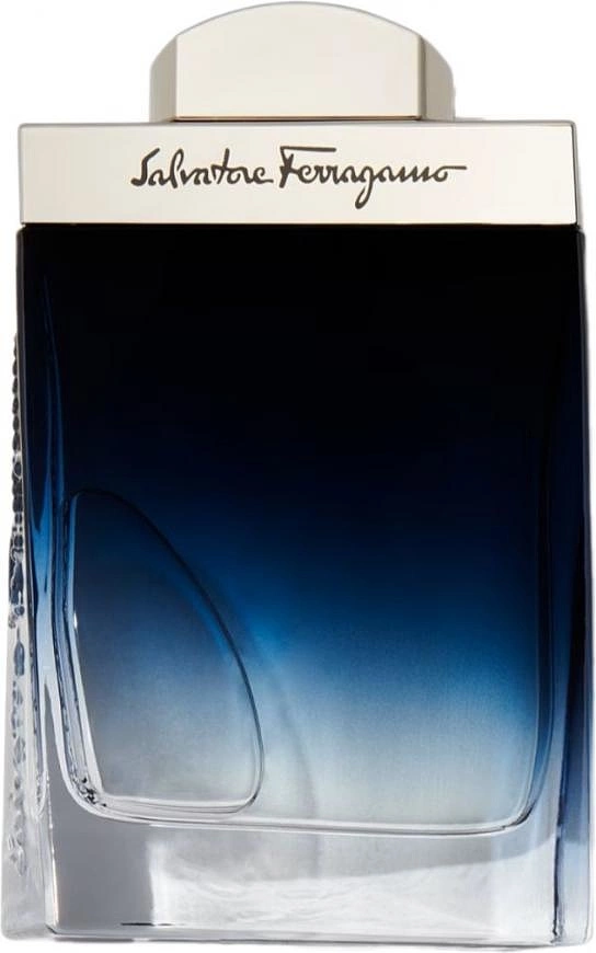 Salvatore Ferragamo Subtil Pour Homme — фото 3