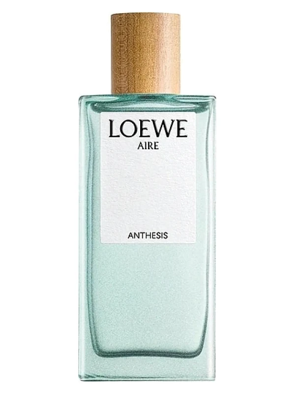 Loewe — Loewe Aire Anthesis