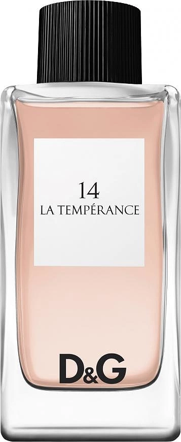 Dolce & Gabbana 14 La Temperance — фото 2