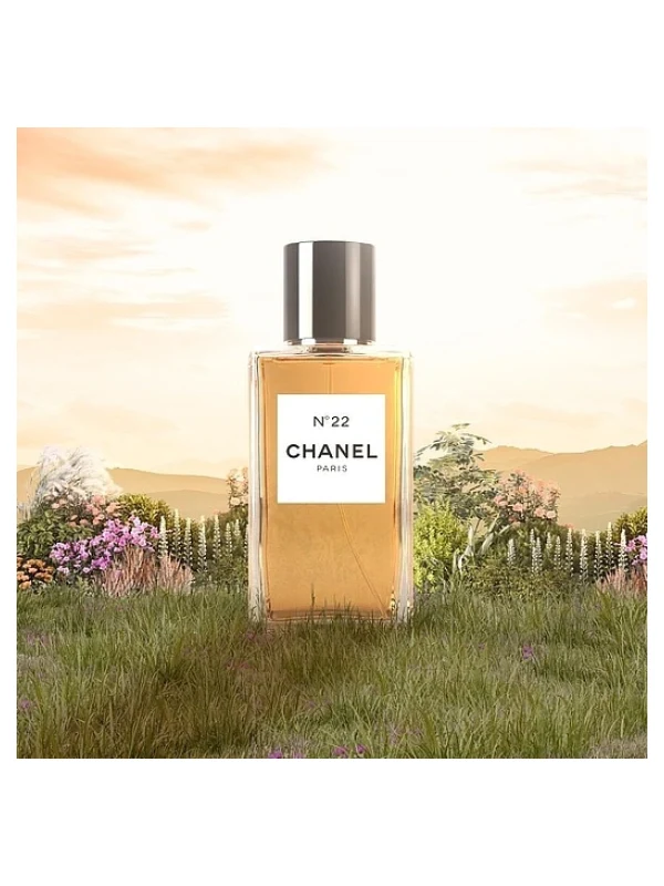 Chanel — Chanel Chanel N°22 Туалетная вода