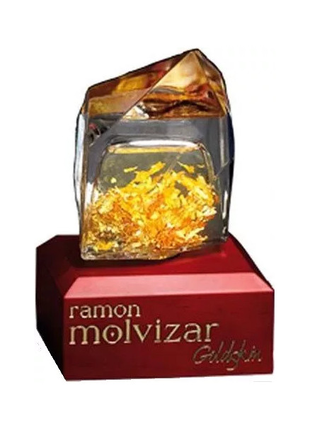 Ramon Molvizar — Ramon Molvizar GoldSkin