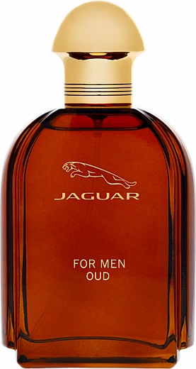 Jaguar — Jaguar Jaguar For Men Oud