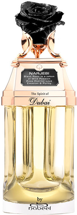 The Spirit Of Dubai — The Spirit Of Dubai Narjesi