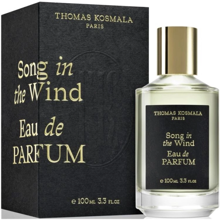 Thomas Kosmala Song In The Wind — фото 3