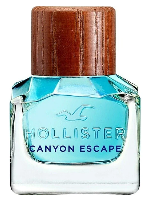Hollister — Hollister Canyon Escape Man
