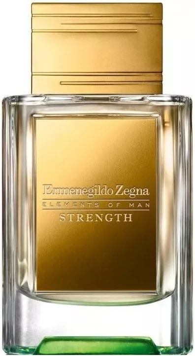 Ermenegildo Zegna Elements of Man Strength — фото 2