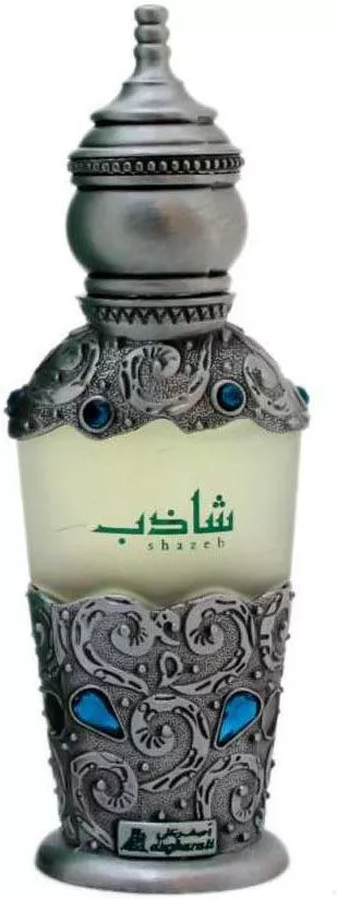 Asgharali Shazeb — фото 3