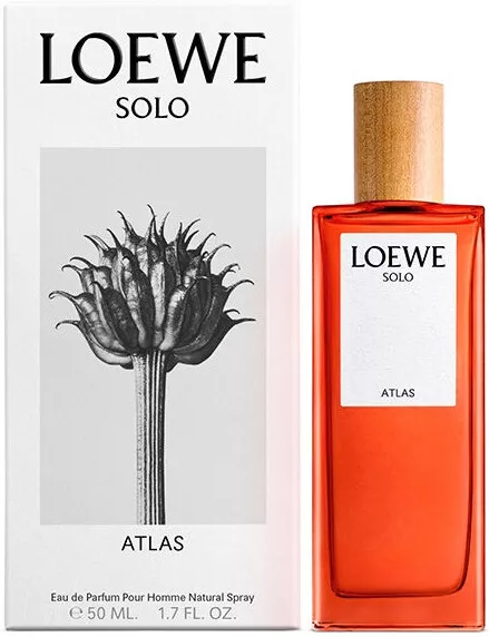 Loewe Solo Atlas — фото 3