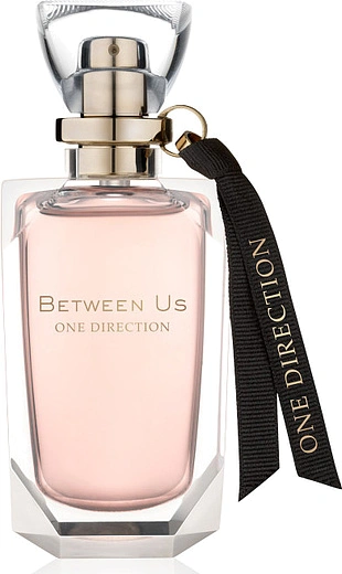 One Direction — One Direction Between Us