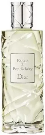 Christian Dior Escale a Pondichery — фото 3