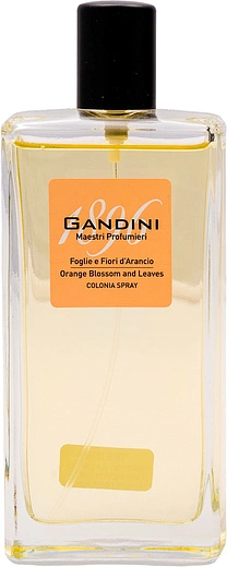 Gandini — Gandini Orange Blossom & Leaf