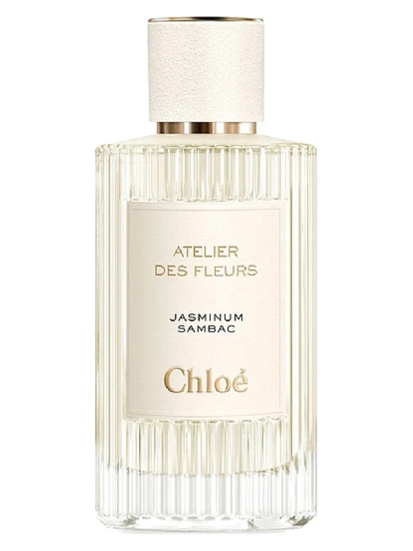 Chloe — Chloe Jasminum Sambac