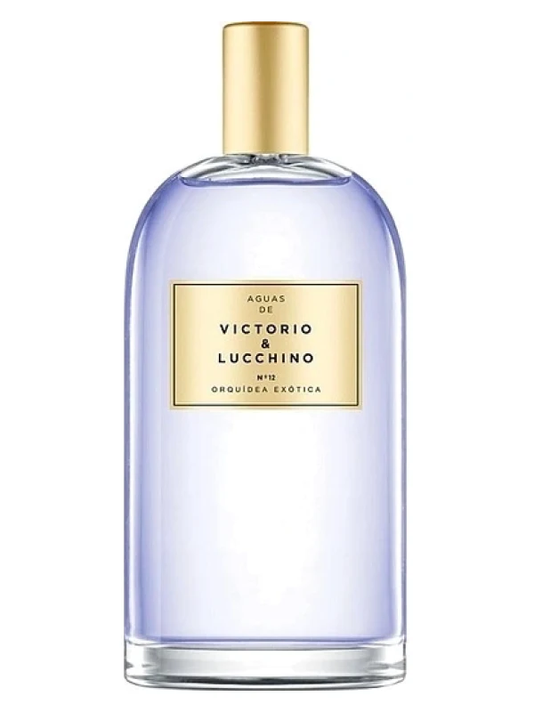 Victorio & Lucchino — Victorio & Lucchino №12 Orquidea Exotica