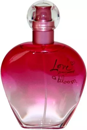 Love Passport — Love Passport Love Passport A Bloom