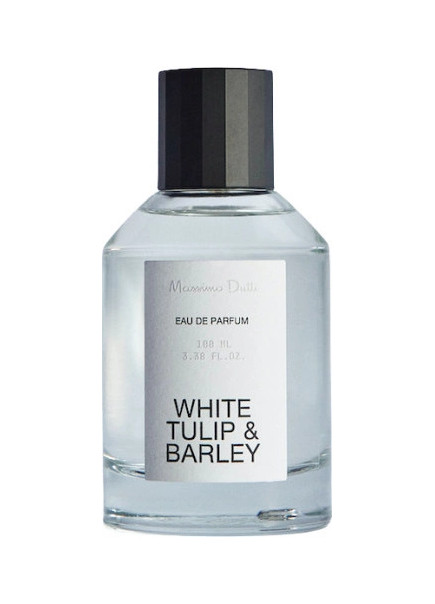 Massimo Dutti — Massimo Dutti White Tulip & Barley