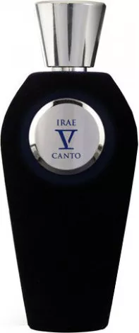 V Canto — V Canto Irae