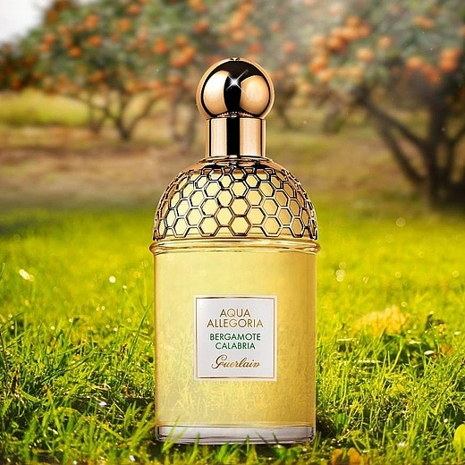Guerlain — Guerlain Aqua Allegoria Bergamote Calabria