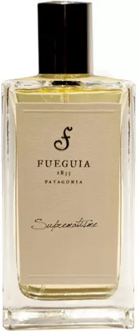 Fueguia 1833 — Fueguia 1833 Suprematisme