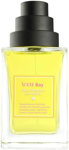 The Different Company — The Different Company South Bay