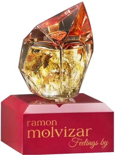 Ramon Molvizar — Ramon Molvizar Feelings