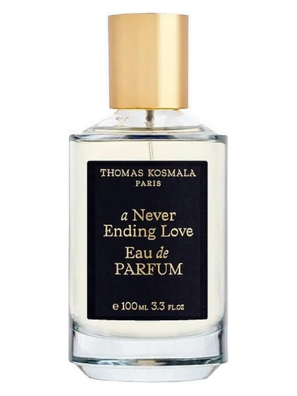 Thomas Kosmala — Thomas Kosmala A Never Ending Love