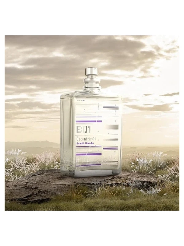 Escentric Molecules — Escentric Molecules Escentric 01 Туалетная вода