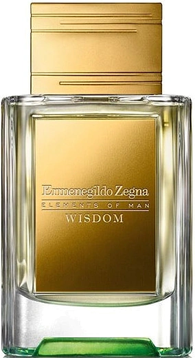 Ermenegildo Zegna — Ermenegildo Zegna Elements of Man Wisdom