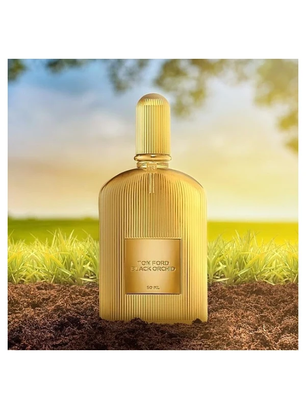 Tom Ford — Tom Ford Black Orchid Parfum